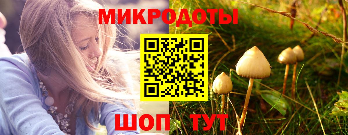 Псилоцибиновые грибы мицелий Саяногорск